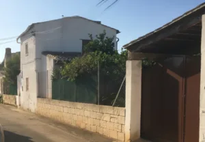 fefdcvgg